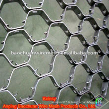 Fil en acier inoxydable 316L thermostable Tortoise Shell Mesh (Factory)